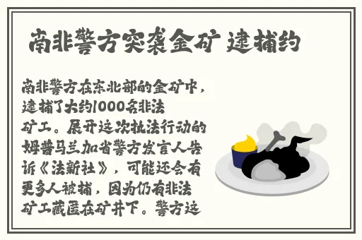 恋老日志列表